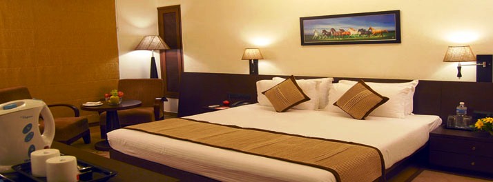 952/Regenta Central - Rajkot 07.jpg